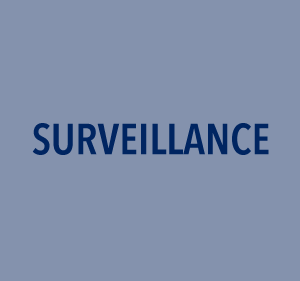 EPC Homepage Category Surveillance